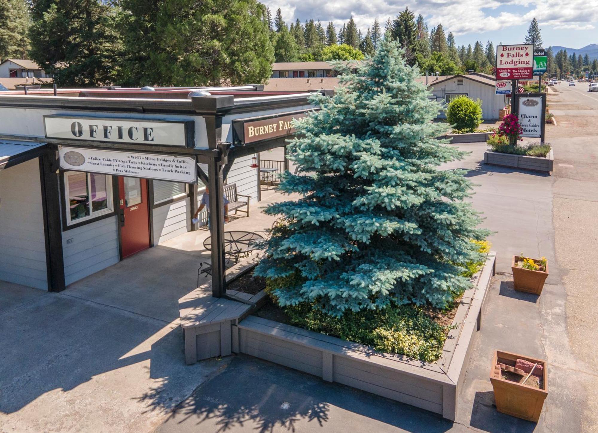 Charm Motel & Suites Burney Zewnętrze zdjęcie